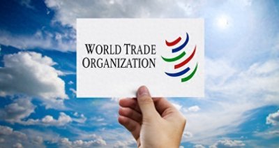​中国加入WTO:融入世界经济，开启发展新篇章