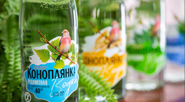 小鸟伏特加什么意思,雷霆嘎巴无情哈拉少小鸟伏特加歌词什么意思图4