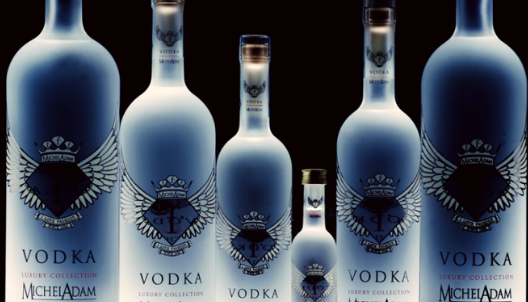 小鸟伏特加什么意思,雷霆嘎巴无情哈拉少小鸟伏特加歌词什么意思图3