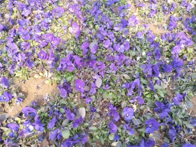 ​郑州雕塑公园开放了，看了让人心酸