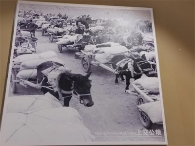 ​美丽湟源、幸福湟源