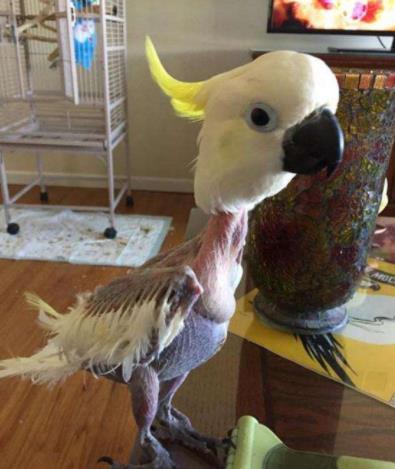 王志文的六个老婆都是谁 王志文电视剧情侣搭档