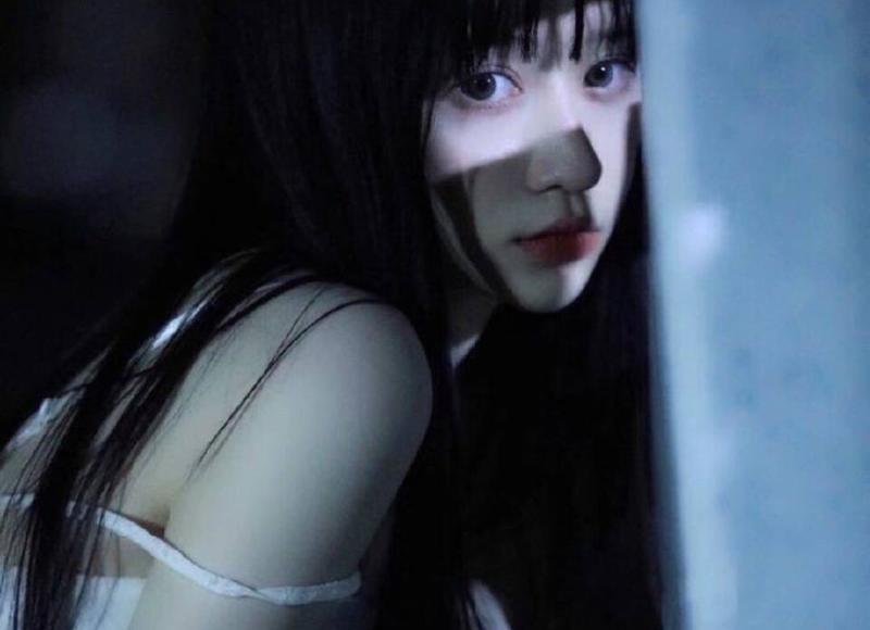 性与理性是什么