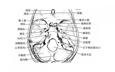 面对“罗志祥”，别再做“周扬青”