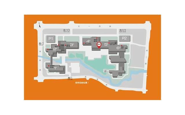 排斥反应的四种类型（肾移植的排斥反应有哪些）