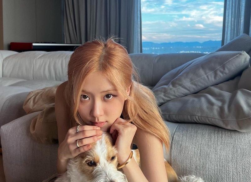 初次约会攻略 第一次约会套路