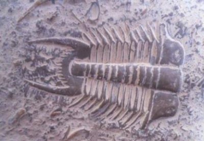 ​矮寨大桥怪事 矮寨大桥航拍