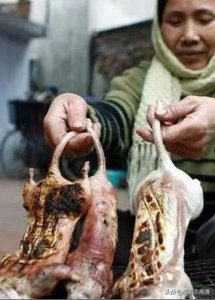 ​如何驱鼠？用下面这个方法保证全部清除！