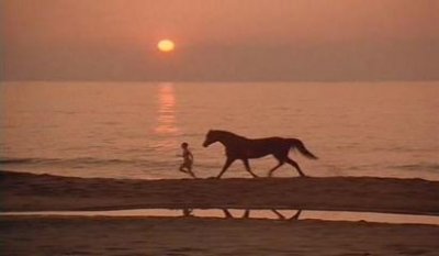 ​这12部关于马的电影，总有一部会让你热泪盈眶！