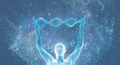 ​狮子不如猪活着是猎物 死了卖肉卖骨头：在南非居然合法