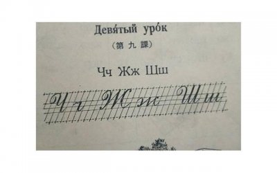 ​子gong喜欢的五种水果及其功效