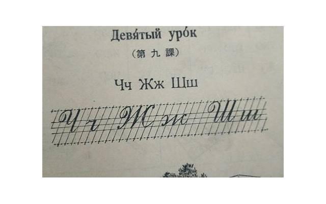 子gong喜欢的五种水果及其功效