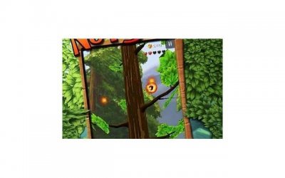 ​华农兄弟微博（华农兄弟微博账号是多少）