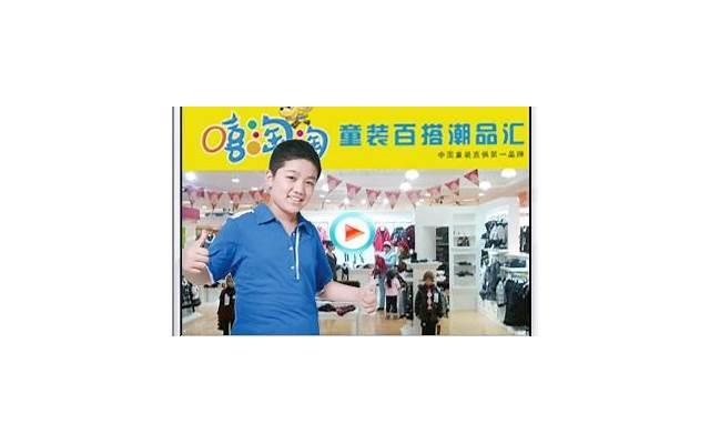 心智的本质是什么