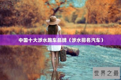 ​中国十大涉水跑车品牌（涉水排名汽车）
