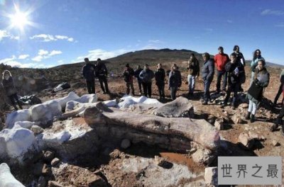 ​世界上最大的恐龙化石：泰坦巨龙身长40米重77吨(相当于14头大象)