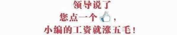 据说最近流行晒身份证名字 各路大神都被炸出来了 网友: 深藏不露