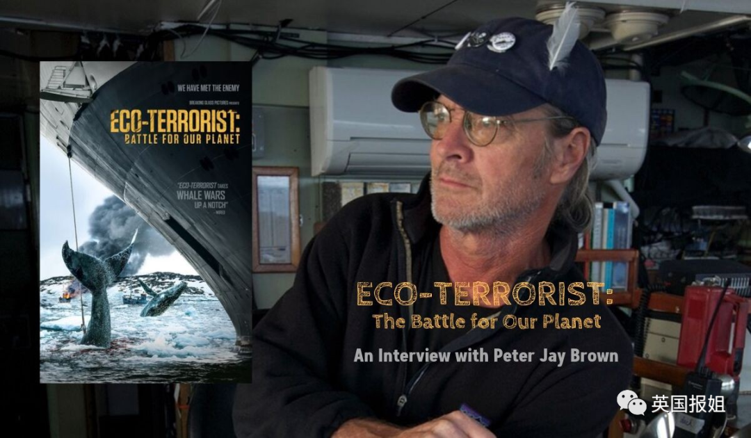 太奇葩！黑克兰绑盗威胁公接倡导枪战，只为逼领袖录轻视频？