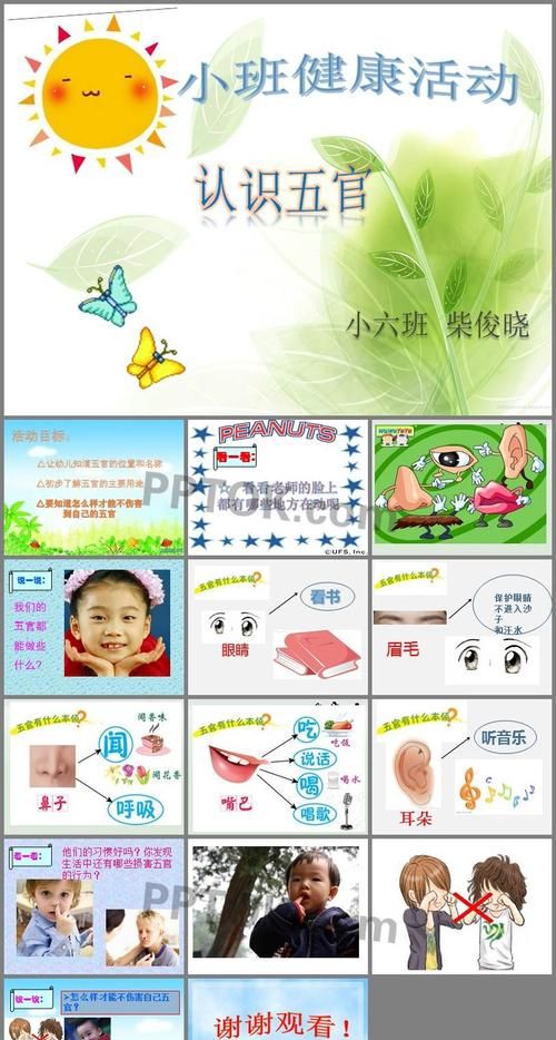 五官的各个作用,人面部的五官包括什么