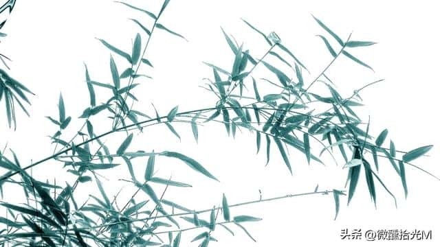 瓜田李下的典故以及寓意（瓜田李下的成语故事意思）