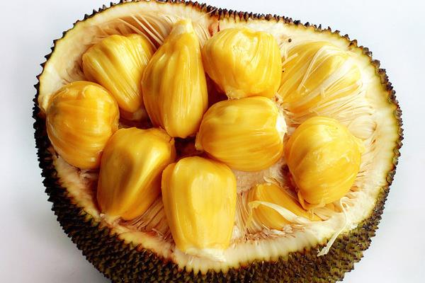 菠萝蜜闻起来什么味道 菠萝蜜闻起来香吗 菠萝蜜闻起来什么味道 菠萝蜜闻起来香吗