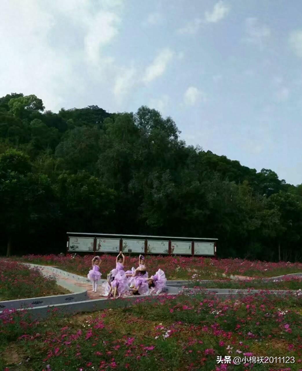 这是谁家的姑娘，个个都那么好看。