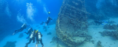 ​黑奴什么时候解放的（黑奴时期什么时候结束废除的）