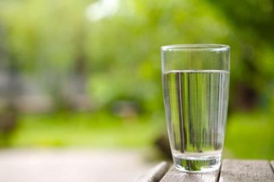 ​法老王猎犬的日常护理注意保持卫生