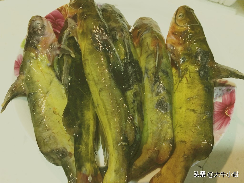 嘎牙子鱼怎么做好吃（东北嘎牙子美食烹饪教程）