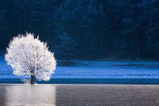 霜降是几月几日