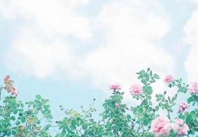 ​神农架在哪里哪个省份哪个市神农架在哪里个城市