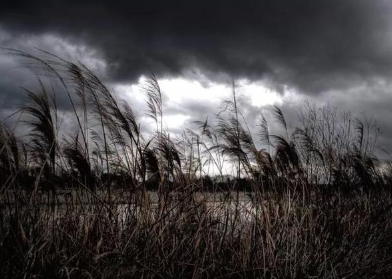 1626072303711821.png image.png