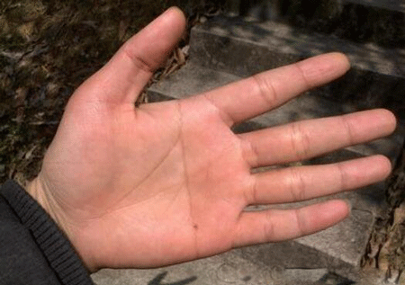 什么是断掌?断掌的人命运怎么样?