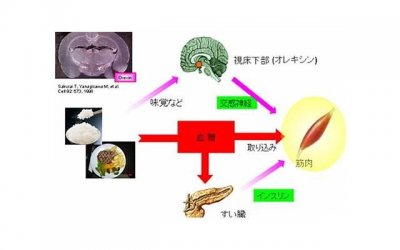 ​婆媳有矛盾儿子受气，婆媳矛盾，儿子何去何从？