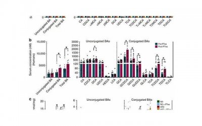 ​去黑头的小窍门（弟蛋去黑头小窍门）