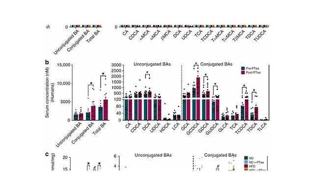 去黑头的小窍门（弟蛋去黑头小窍门）
