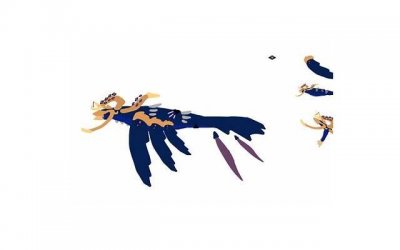 ​性服务中孔雀开屏是什么意思