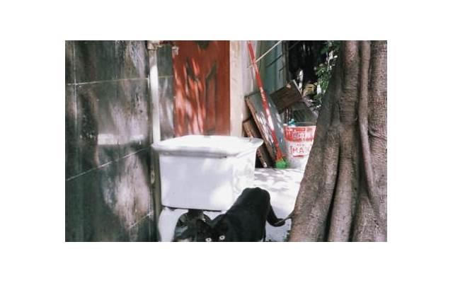 第一次ml是什么感受 口述第一次ml亲身体验