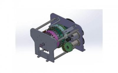 ​4种幸运花你会选哪种？ 测试你的人生会不会有好运眷顾