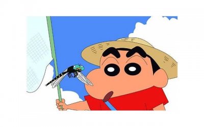 ​活得通透的人，都放下了5样东西，做到一条就了不起