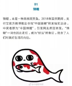 ​快来看！2018十大网络用语出炉