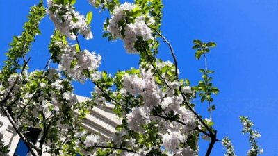 ​巨星？在NBA历史上只有这7位拥有终身代言合同的才算真正的巨星！