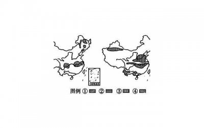 ​最美女老板为新男友将退出俱乐部