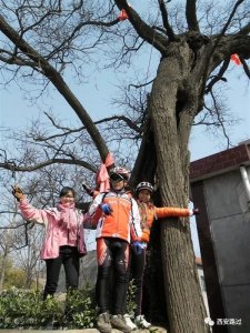 ​唐敬陵（贞顺皇后武惠妃墓）