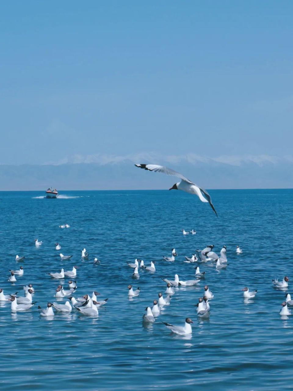 中国情侣旅游胜地在哪里（超适合情侣旅行的12个目的地）