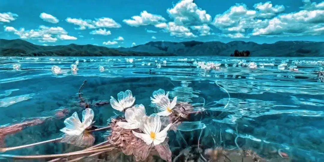 中国情侣旅游胜地在哪里（超适合情侣旅行的12个目的地）