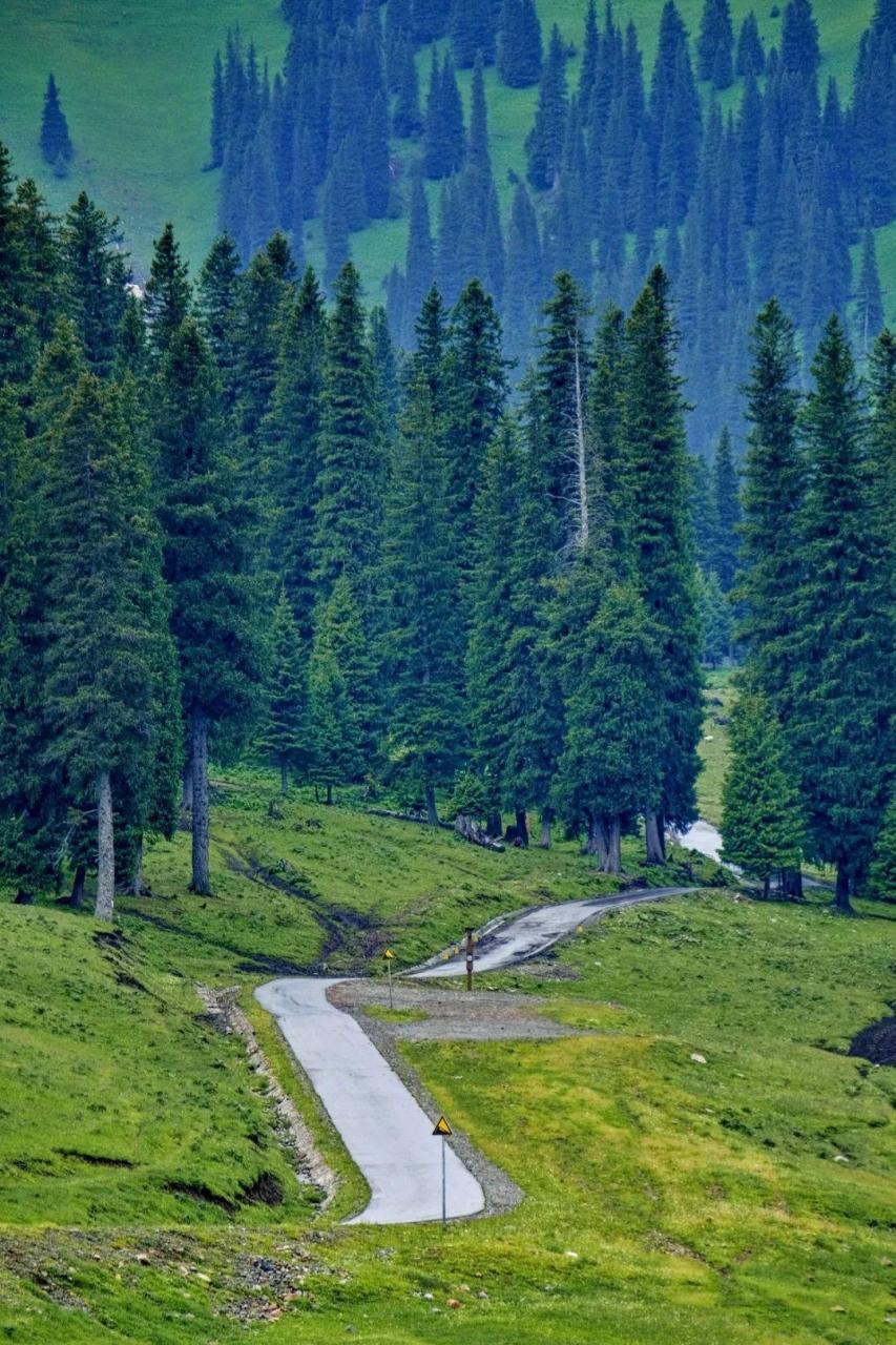 中国情侣旅游胜地在哪里（超适合情侣旅行的12个目的地）