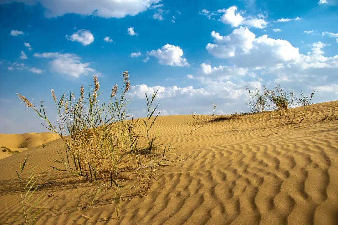 中国情侣旅游胜地在哪里（超适合情侣旅行的12个目的地）