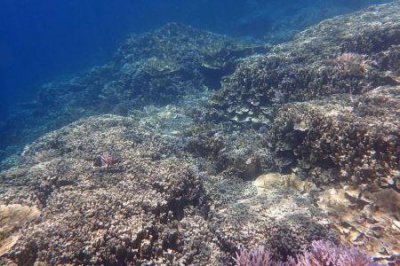 ​宜宾泸州好玩的地方 泸州好玩还是宜宾好玩