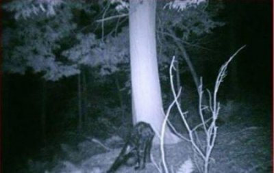 ​亚特兰蒂斯位置未解之谜：亚特兰蒂斯文明未解之谜